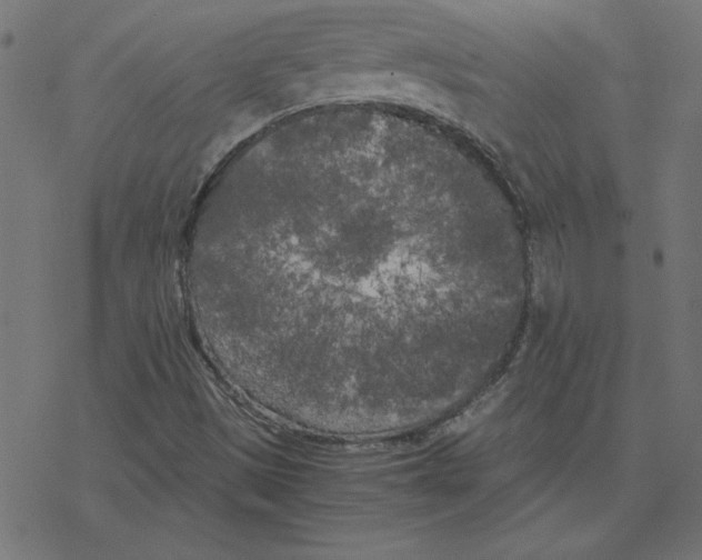 X0000078241497200612011551