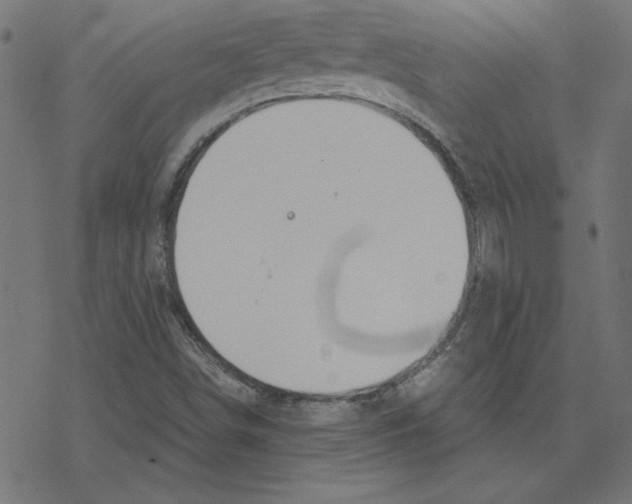 X0000078241498200612011551