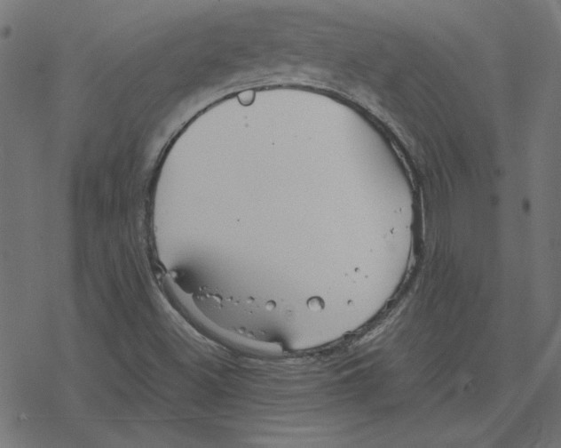 X0000078241500200612011551