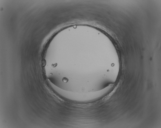 X0000078241502200612011551