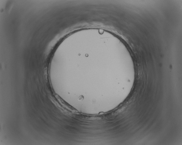 X0000078241503200612011551