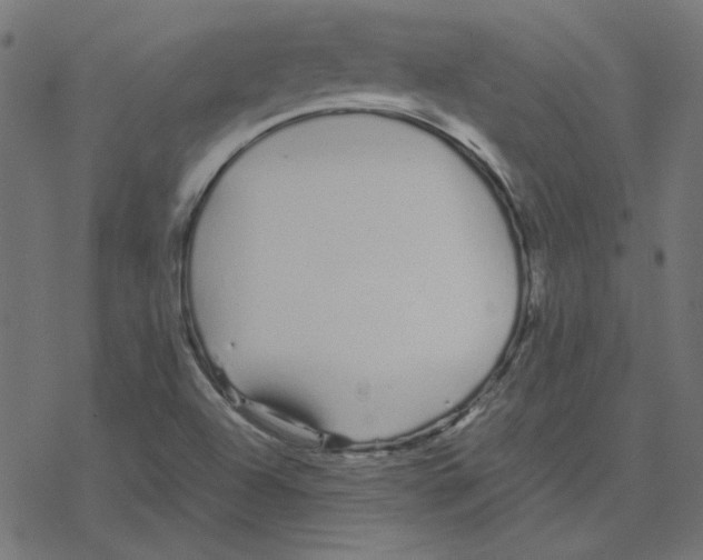 X0000078241504200612011551