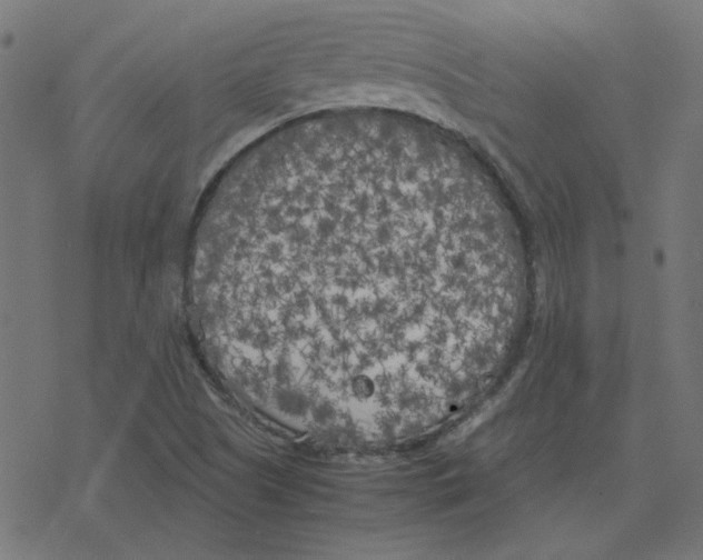 X0000078241505200612011551