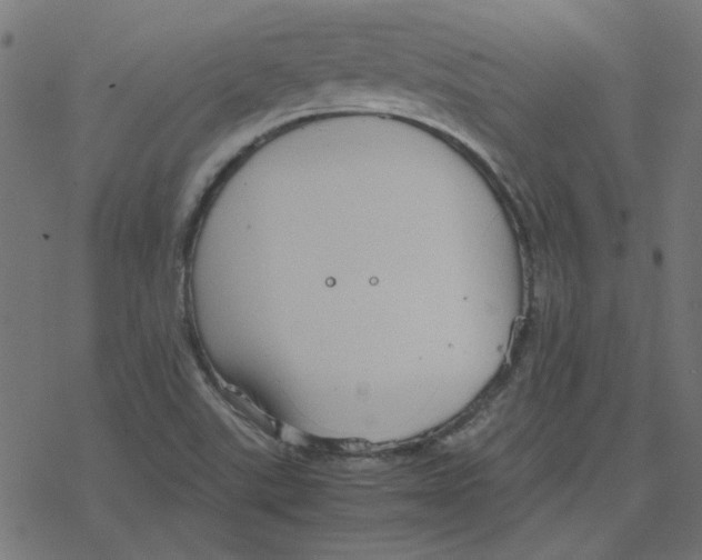 X0000078241507200612011551