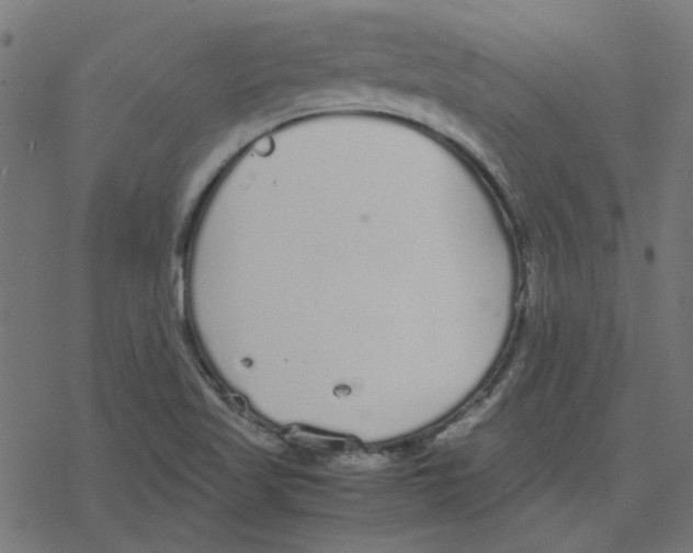 X0000078241509200612011552