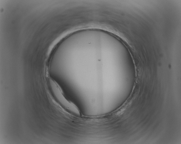 X0000078241510200612011552