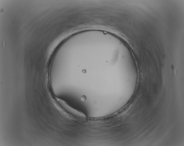 X0000078241511200612011552