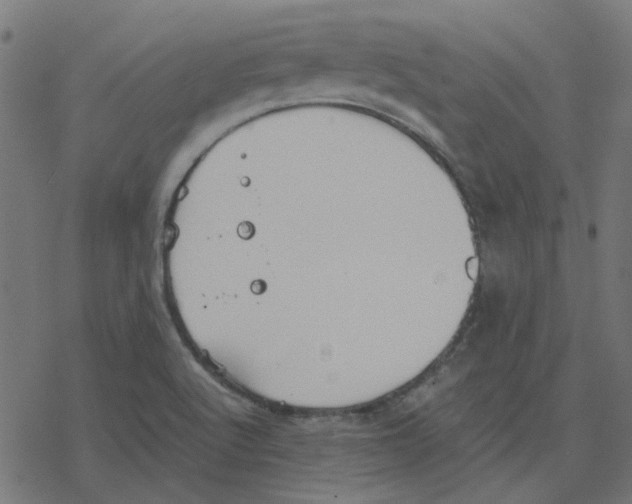 X0000078241512200612011552