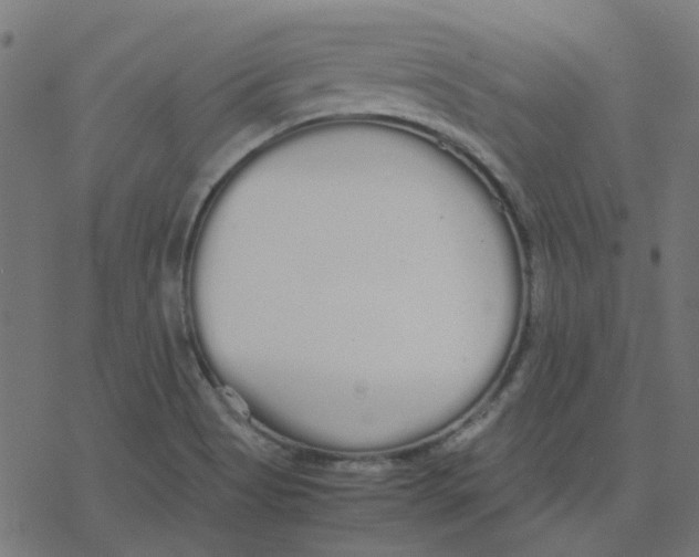 X0000078241513200612011552