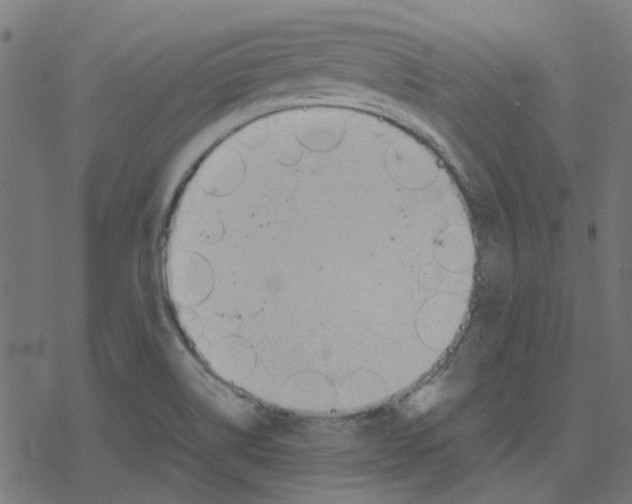 X0000078241514200612011552