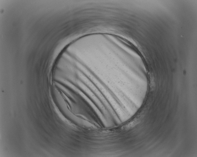 X0000078241515200612011552