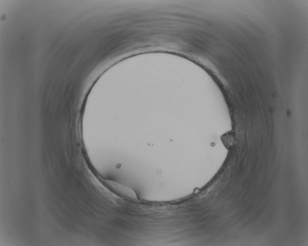 X0000078241516200612011552