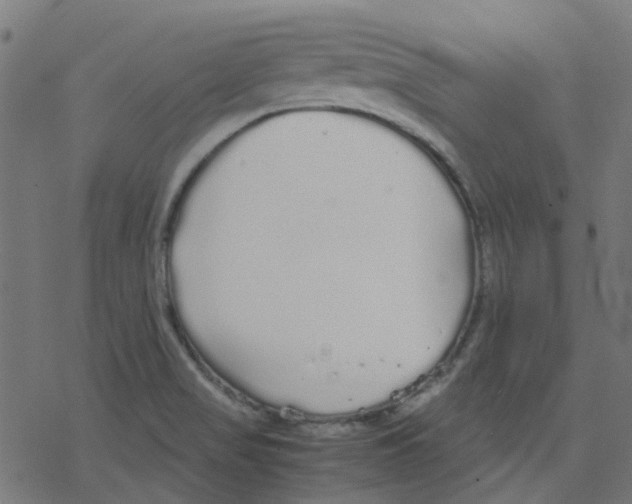 X0000078241517200612011552