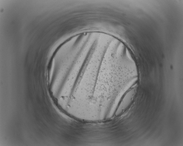 X0000078241519200612011552