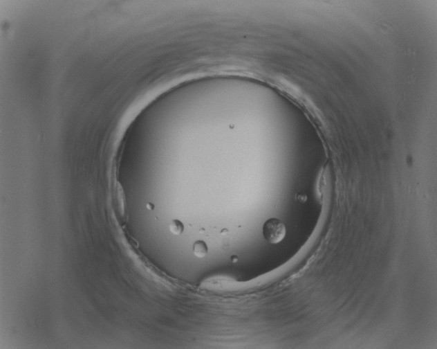 X0000078241520200612011552