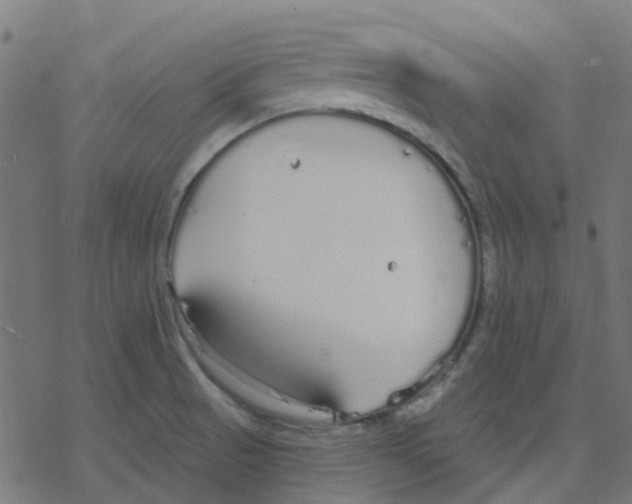 X0000078241521200612011552