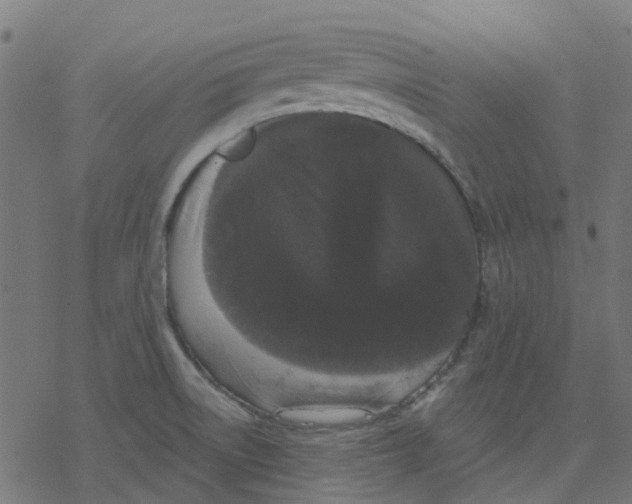 X0000078241522200612011552