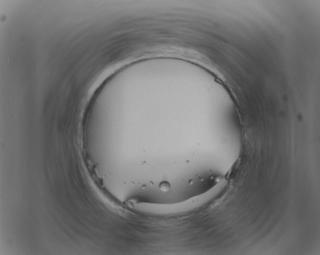 X0000078241523200612011552