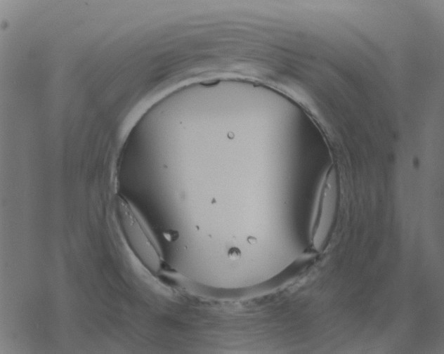 X0000078241524200612011552