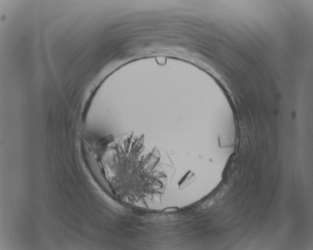 X0000078241525200612011552