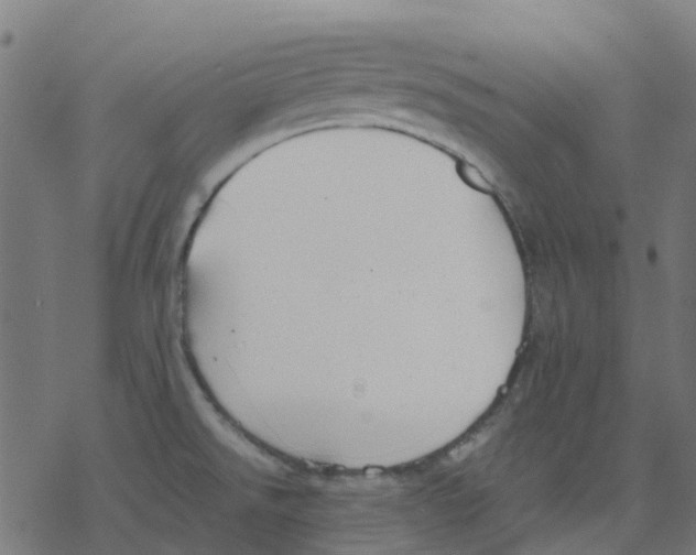 X0000078241526200612011552