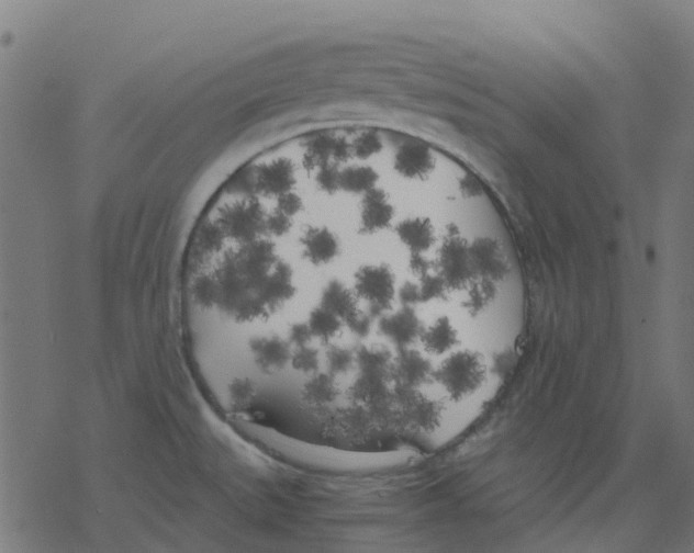 X0000078241527200612011552