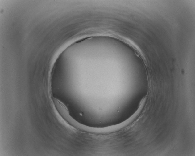 X0000078241528200612011552