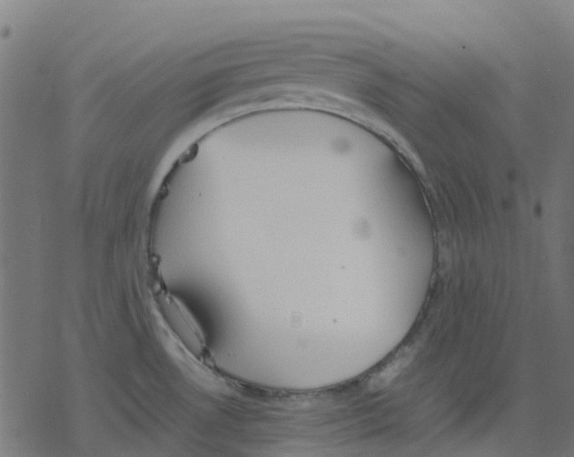 X0000078241530200612011552