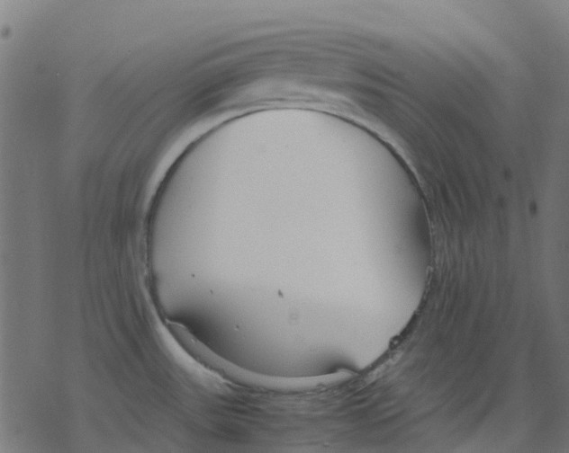 X0000078241531200612011552