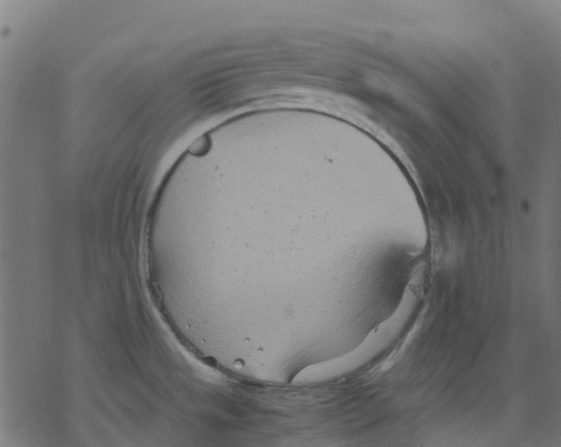 X0000078241533200612011552