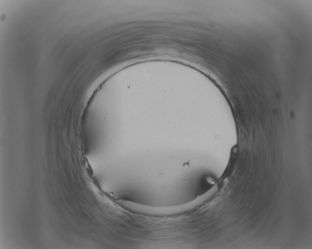 X0000078241534200612011552