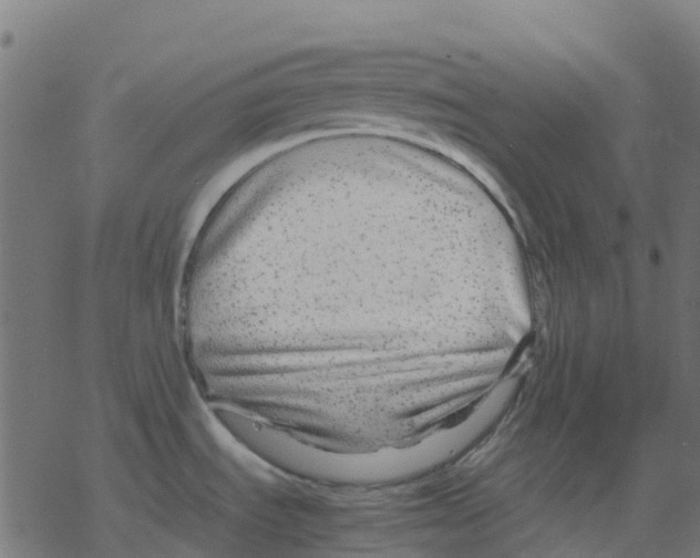 X0000078241535200612011552