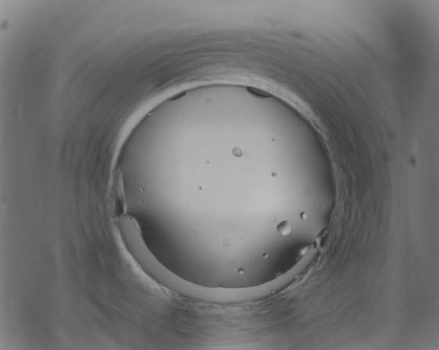 X0000078241536200612011552