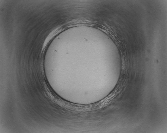 X0000078250004200611030906