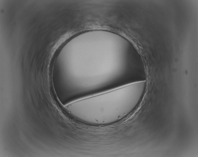 X0000078250008200611030906