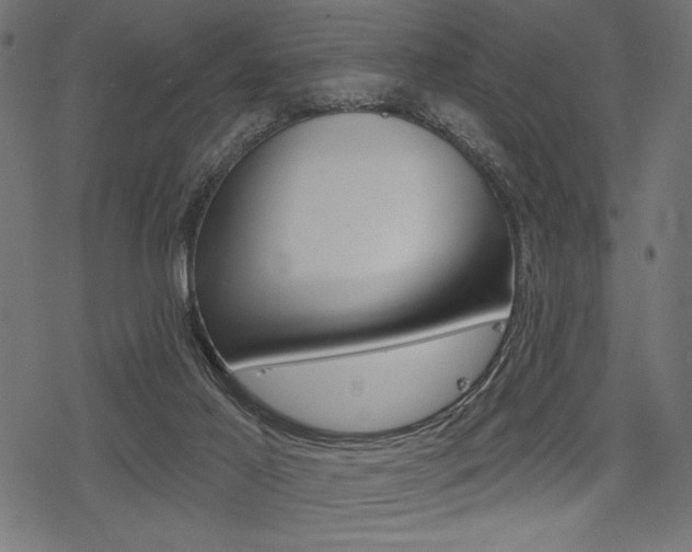 X0000078250021200611030906