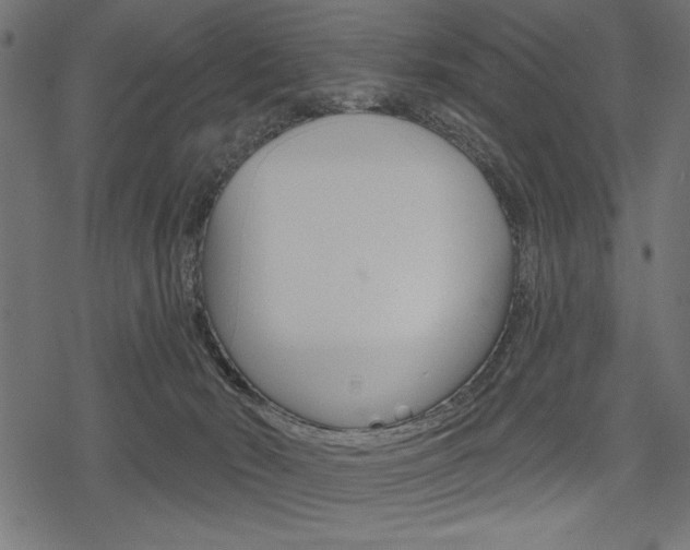 X0000078250030200611030906