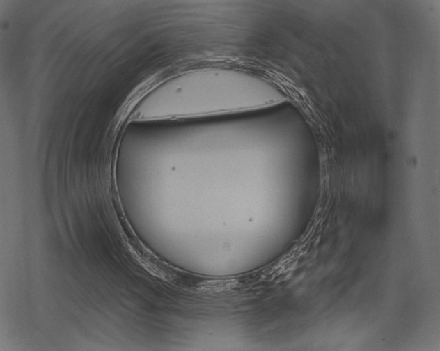 X0000078250051200611030905