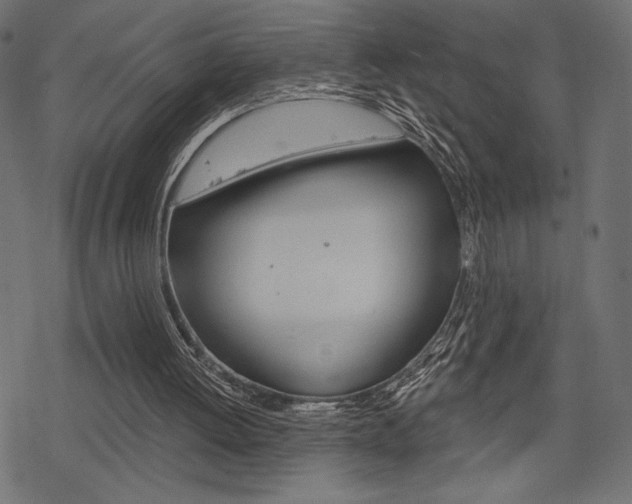 X0000078250052200611030905