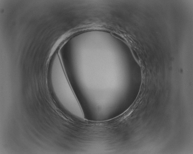 X0000078250056200611030905