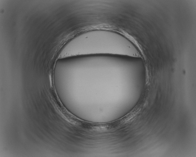 X0000078250061200611030905