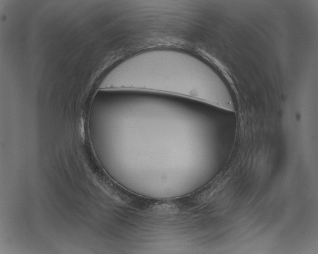 X0000078250067200611030905