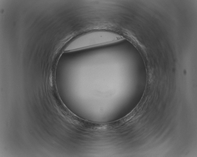 X0000078250068200611030905