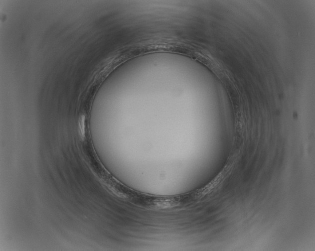 X0000078250070200611030905