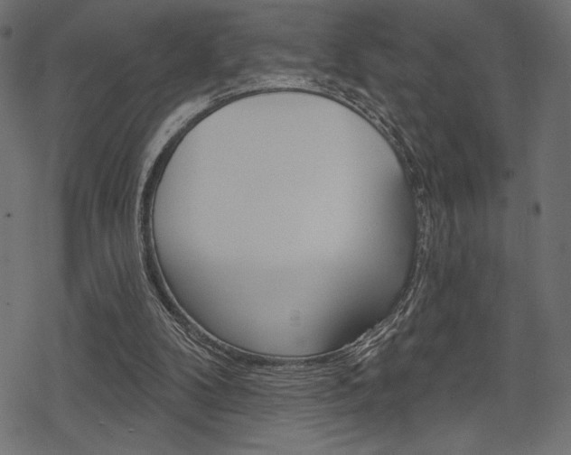 X0000078250104200611030904