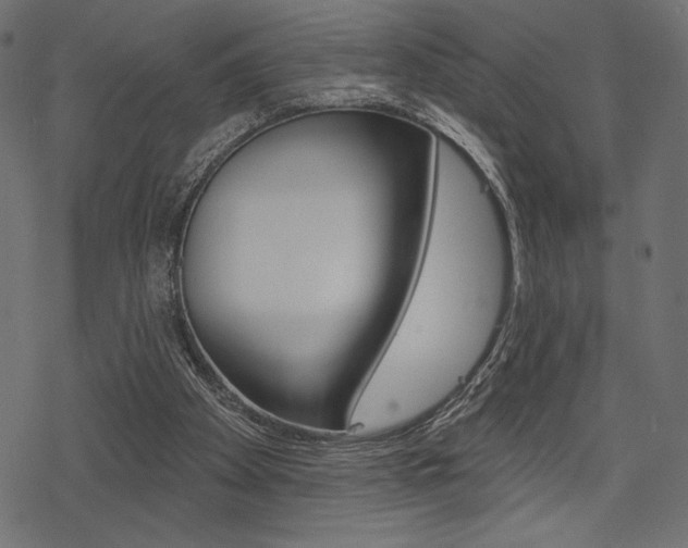 X0000078250105200611030904