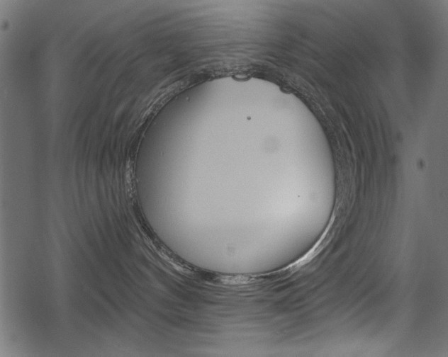 X0000078250144200611030904