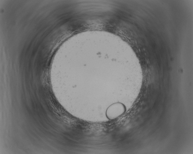 X0000078250146200611030903