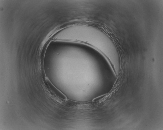 X0000078250150200611030903