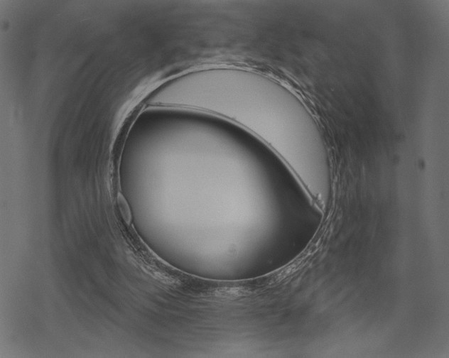 X0000078250152200611030903
